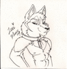 AlterHusky