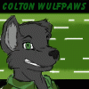 coltonwulfpaws