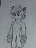 LockeLynx