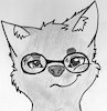 mellopaw
