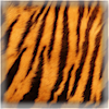 ScopeTheTigress