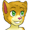 Dave247