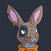 JaxCottontail
