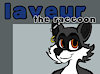 LaveurRaccoon