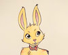 AdamTheBunny