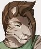 StrayCat