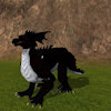 EclipseTheDragon