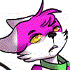 Shilvascat