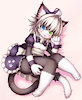 Zashi