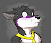 TylerTheWusky