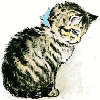 CarterCat