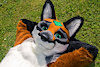 leaffox