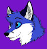 KaiTheFox