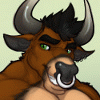 PuddinBovine
