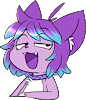 Kaittycat