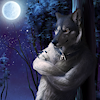 RileyWolf