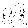 KelsyTheDalmatian
