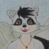 luchianoraccoon