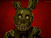 Springtraprules