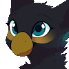 AzukiPuddles