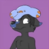 zachi2