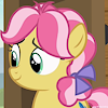 CraftyCirclePony