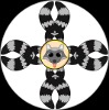 ThePirateRaccoon