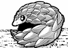 DazzlingPangolin