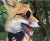 Foxrich