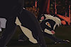 StinkyGaySkunk