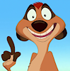 TimonMeerkat2012