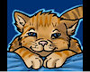 TiggyCat