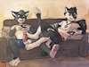 Pawsfetish