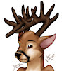DasherWhitetail