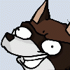 drraccoon