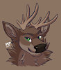 SpruceTheDeer