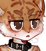 chouquette