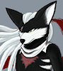 FireFox20
