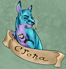 CronaRoo