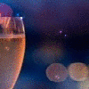 NewYearToast5