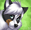 AceticWolfe