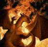 DragonlordCarter