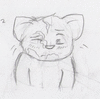 FilthyPawPads