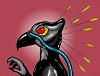 xerotigercat