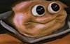Protobro