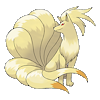 Sandalfox