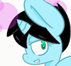 bronyparty15