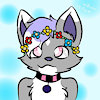 Kikowolf88