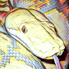 Capitangroso