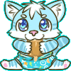 Noahcat